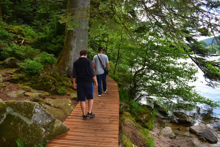 Lire la suite à propos de l’article Tour du lac Gérardmer, un sentier très facile