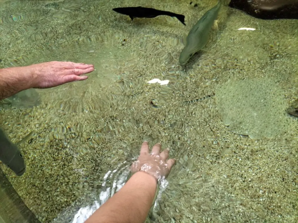 aquarium boulogne sur mer