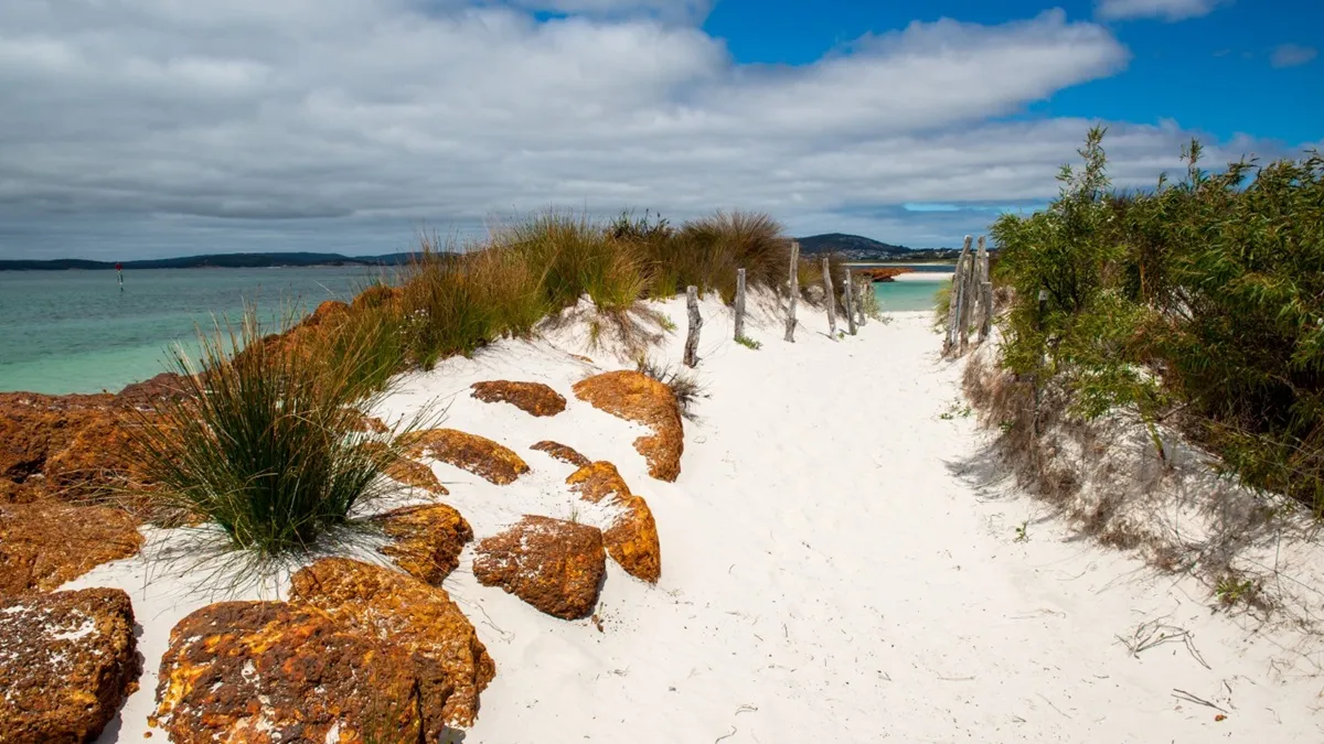 Chemin sablonneux menant vers une plage tropicale