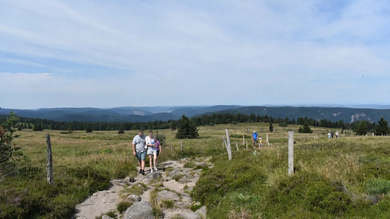 Pique-nique sans déchets abandonnés dans la nature vosgienne