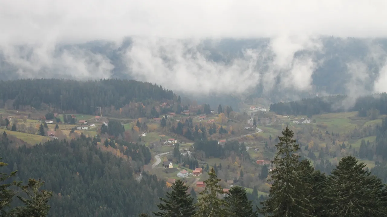 Forêt aux couleurs d’automne sur les hauteurs de Gérardmer