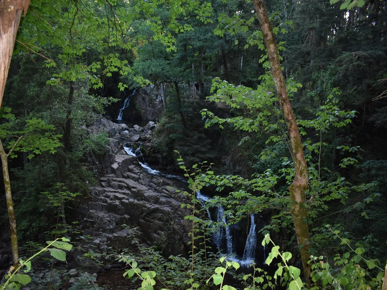 Cascade du Saut du Bouchot dans la forêt à Sapois près de Gérardmer