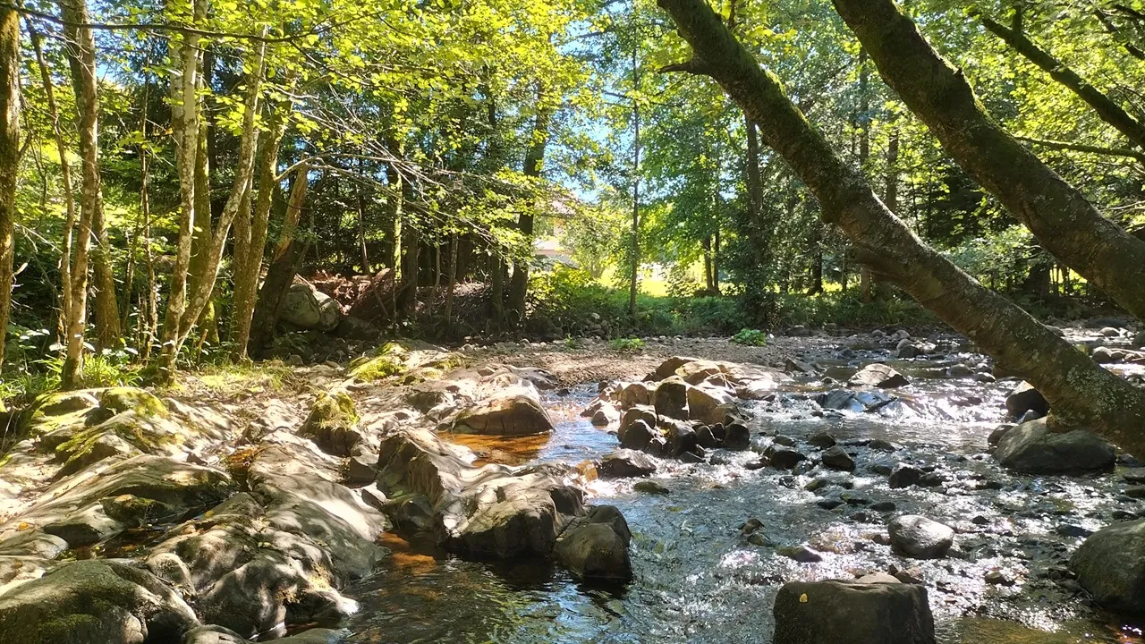 Saut des Cuves et rivière de la Vologne près de Gérardmer