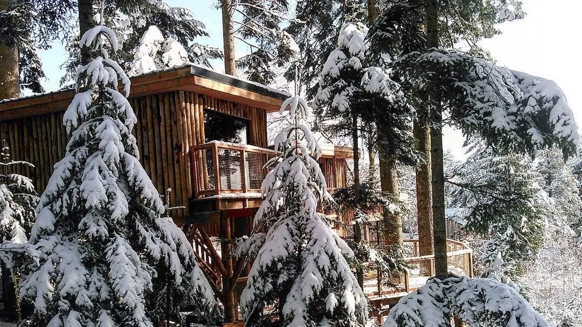 Cabane perchée des Vosges entourée de sapins enneigés en hiver