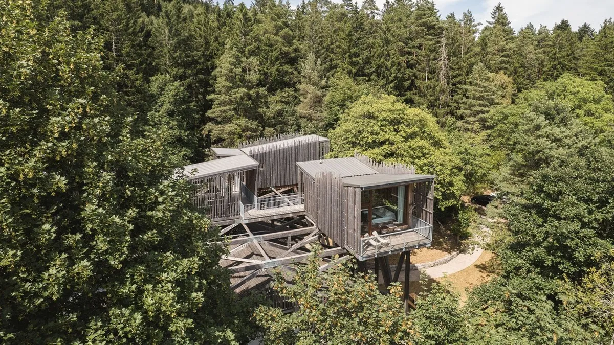 Cabanes perchées des Cabanes Nids des Vosges au milieu de la forêt à Champdray