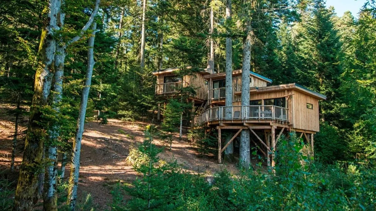 Plusieurs hébergements en bois installés sur pilotis dans une forêt à Champdray