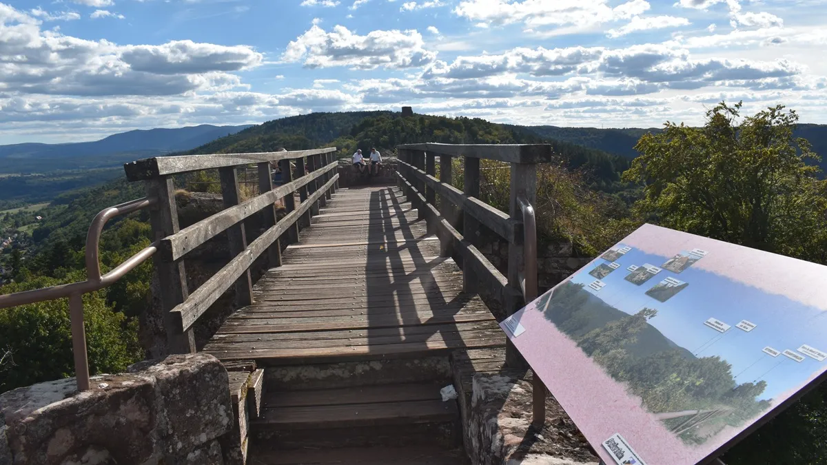 Passerelle dans les hauteurs du Château du Haut-Barr